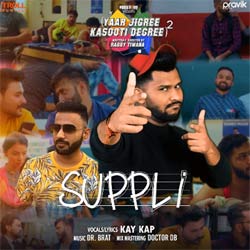 Suppli Poster
